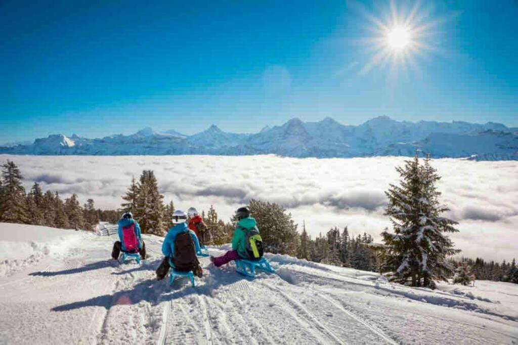 Chalet Mignon - Your Vacation Oasis At Lake Brienz Bönigen Buitenkant foto
