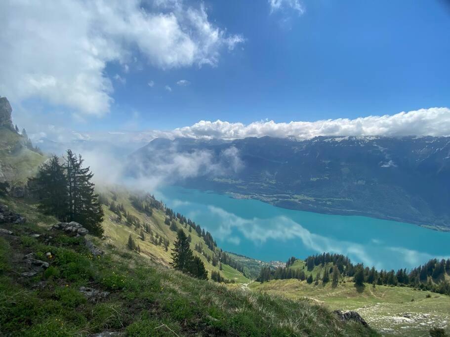 Chalet Mignon - Your Vacation Oasis At Lake Brienz Bönigen Buitenkant foto