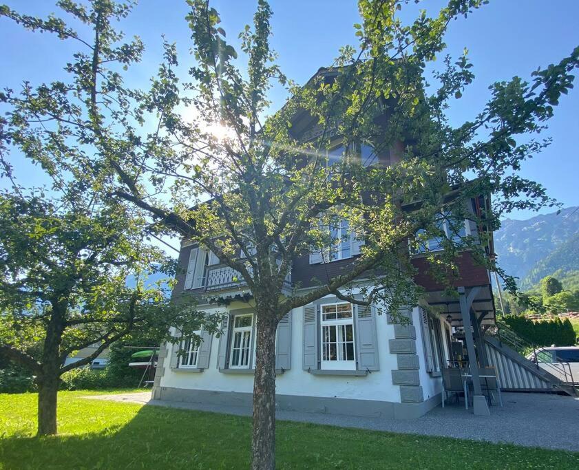 Chalet Mignon - Your Vacation Oasis At Lake Brienz Bönigen Buitenkant foto